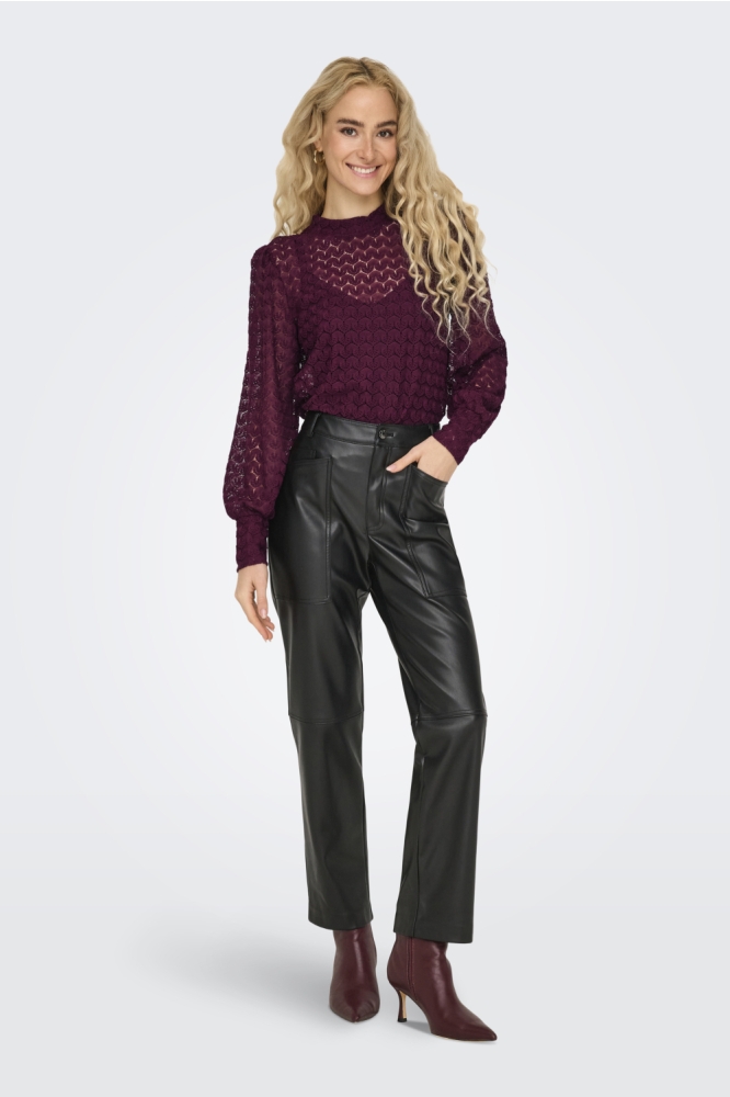JDYAVERY L/S LACE TOP JRS NOOS 15268408 Fig
